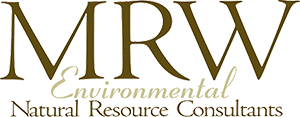 MRW Environmental, LLC
